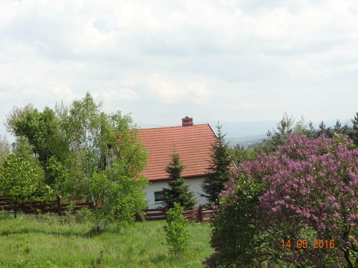 Вилла Dom Na Wzgorzu Поляница-Здруй Экстерьер фото